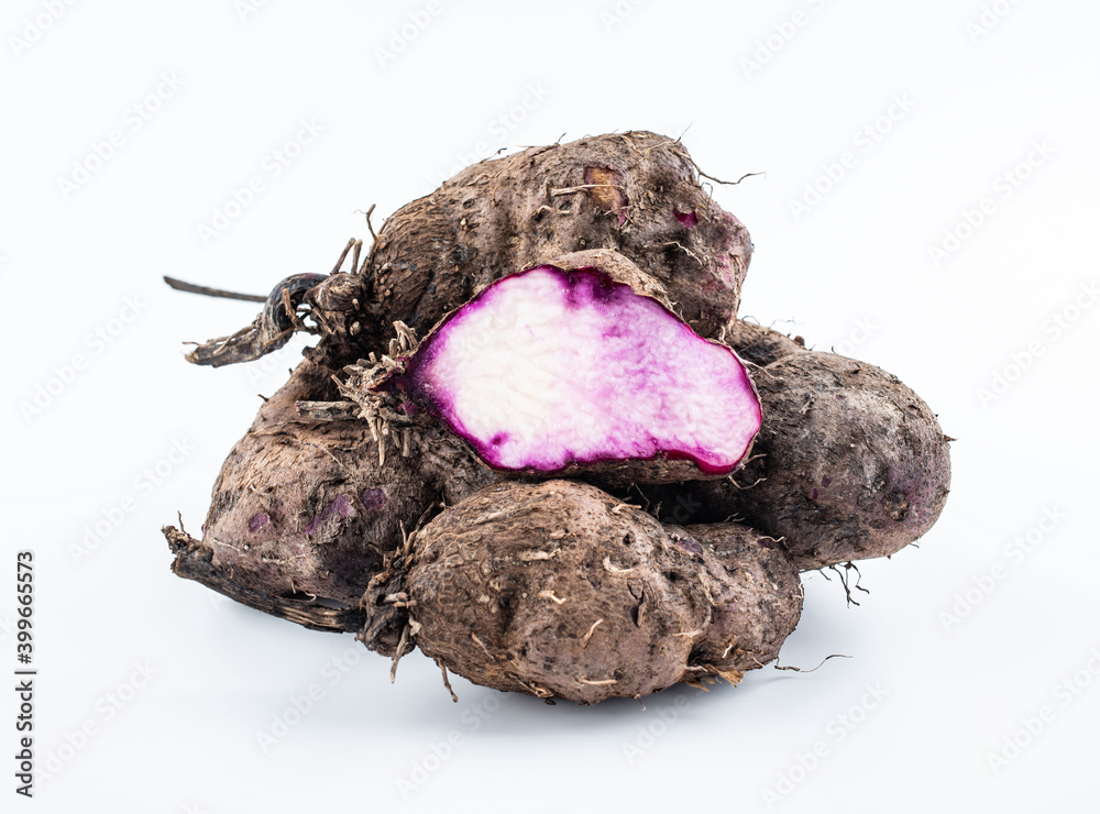 白底鲜紫甘薯