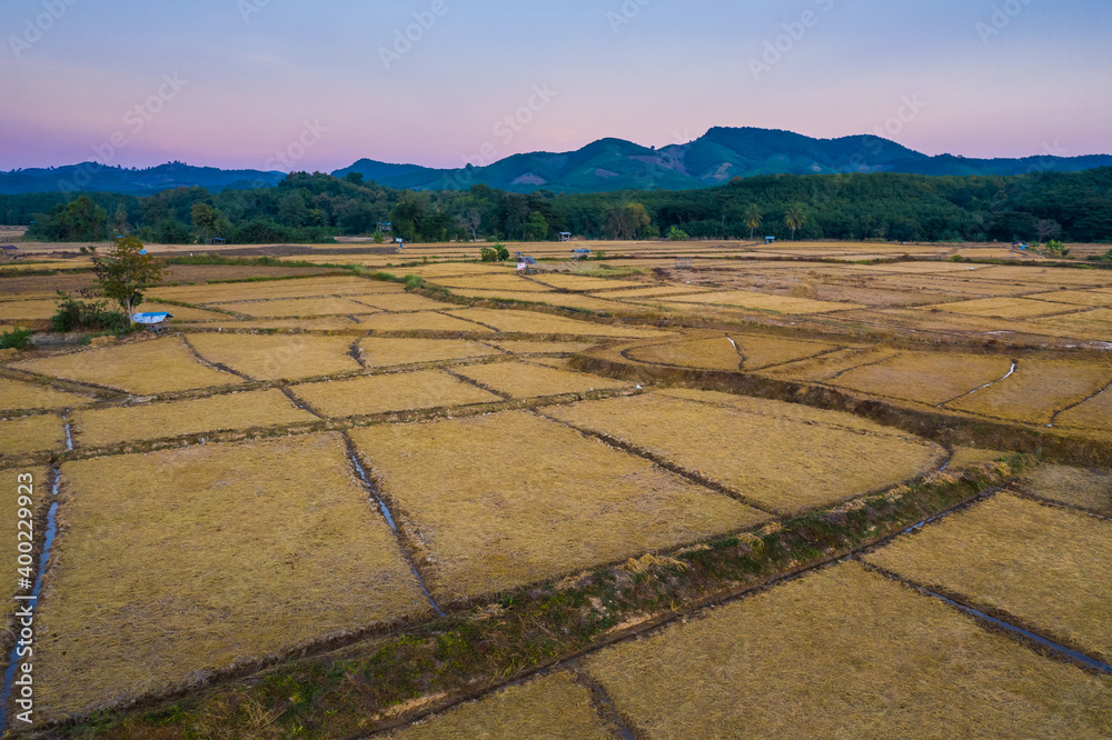 Aerial view of rice field after harvested in nan province, Northern Thailand