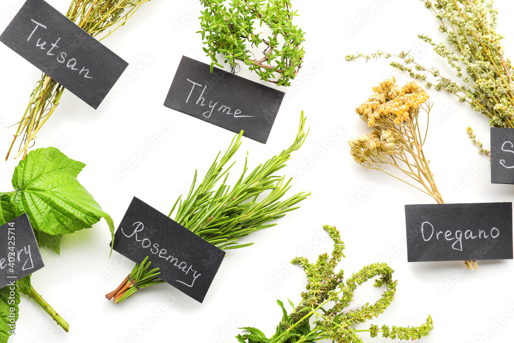 Composition with different herbs on white background, closeup