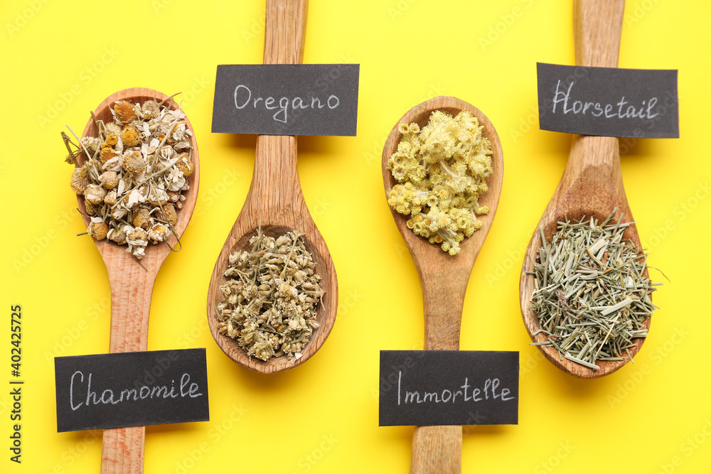 Spoons with different herbs on color background, closeup