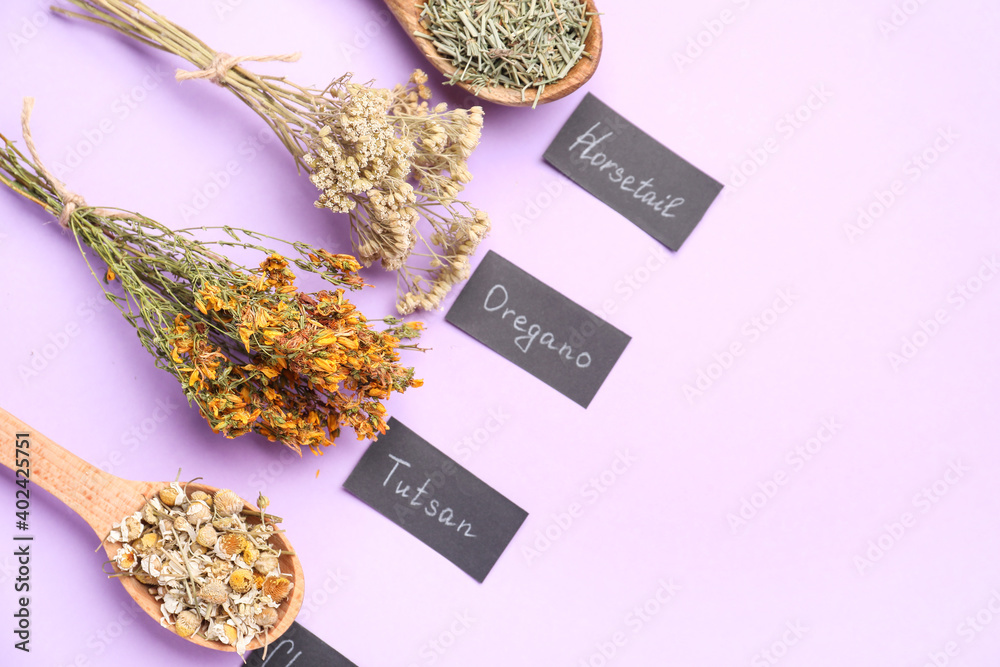 Composition with different herbs on color background