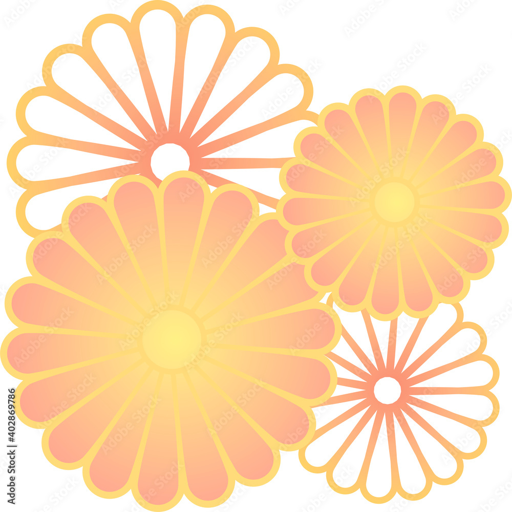 菊の花　装飾　暖色