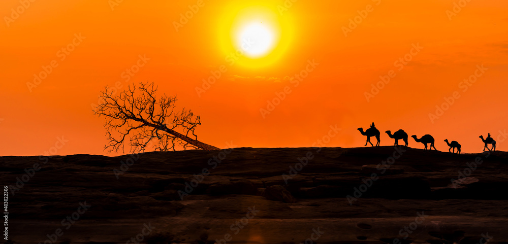 一只骆驼在大自然的干旱中行走。令人惊叹的日落和日出。全景剪影
1130538944,希腊莱斯博斯岛地图多边形网格，带有填充的三角形和grunge双色印章。三角形