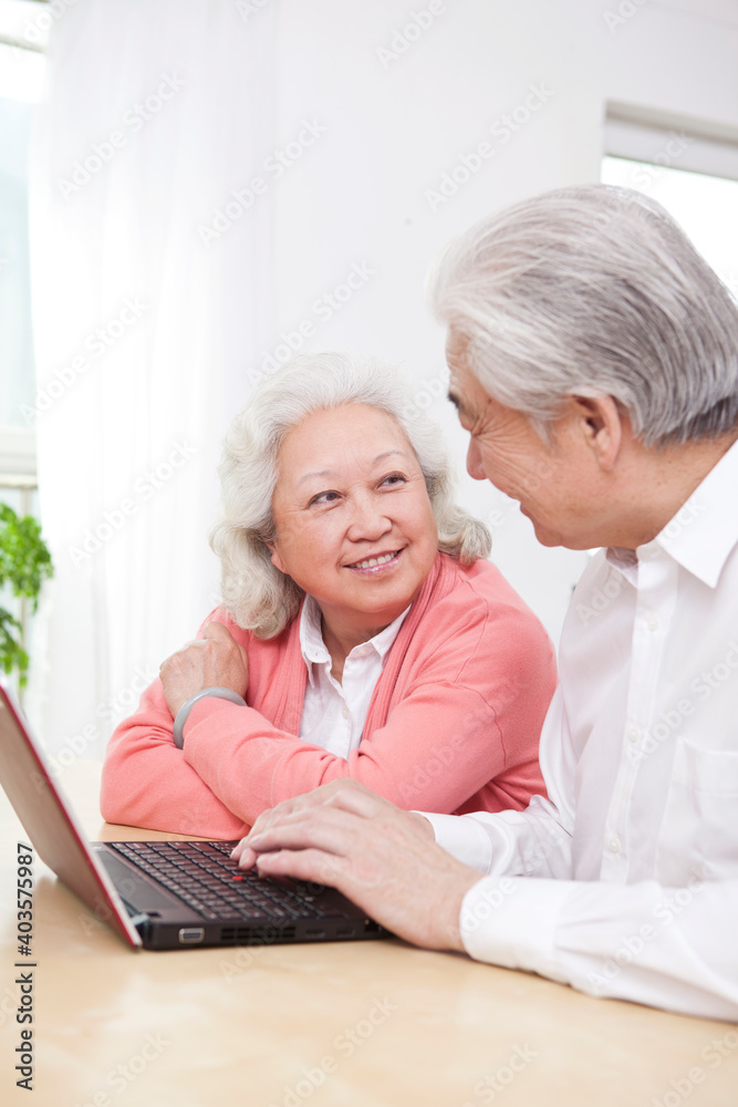 这对幸福的老夫妇正在使用笔记本电脑