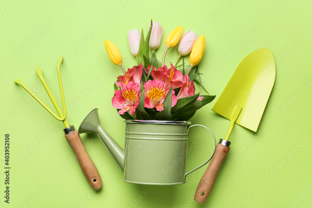彩色背景上的园艺工具和花卉