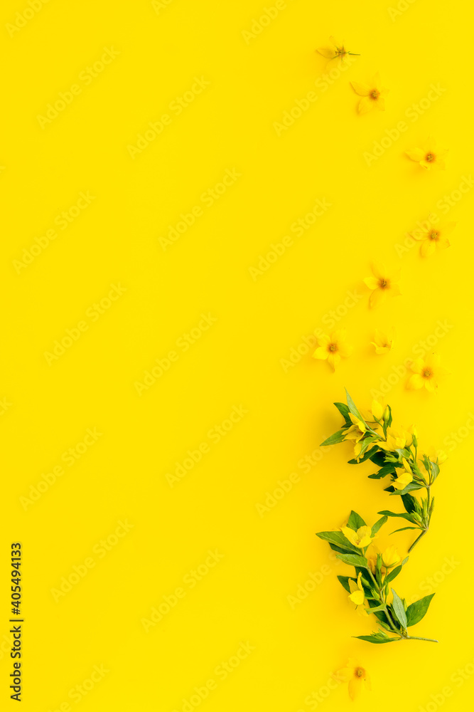黄色花朵和叶子的花朵背景，俯视图