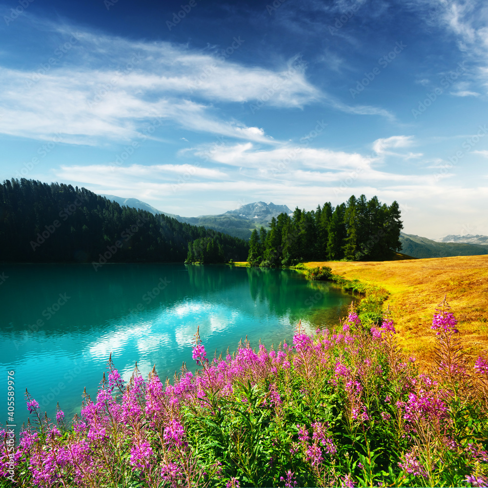 瑞士阿尔卑斯山Champferrese湖阳光明媚的一天。瑞士，欧洲的Silvaplana村。