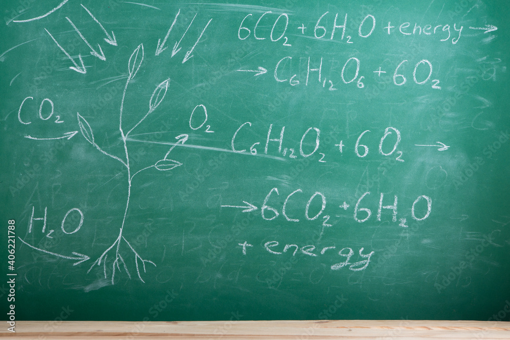 教育和科学概念——礼堂黑板上的光合作用和公式