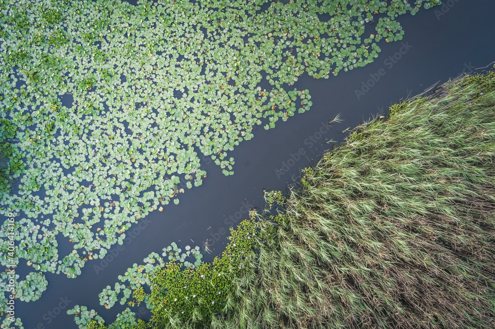 鸟瞰植被茂盛的泻湖