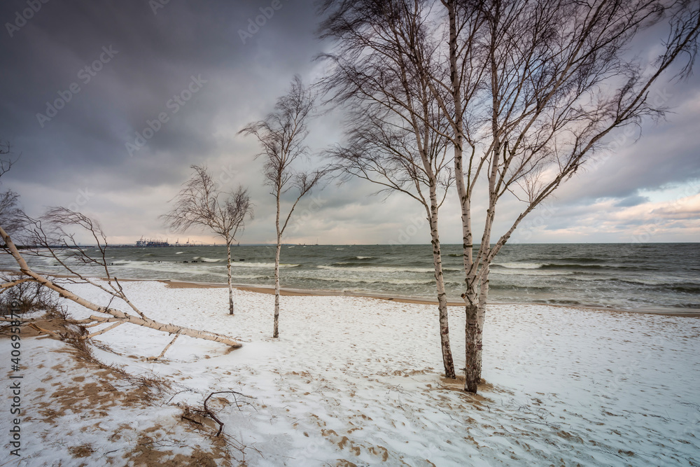 波兰格但斯克波罗的海积雪海滩的冬季景观