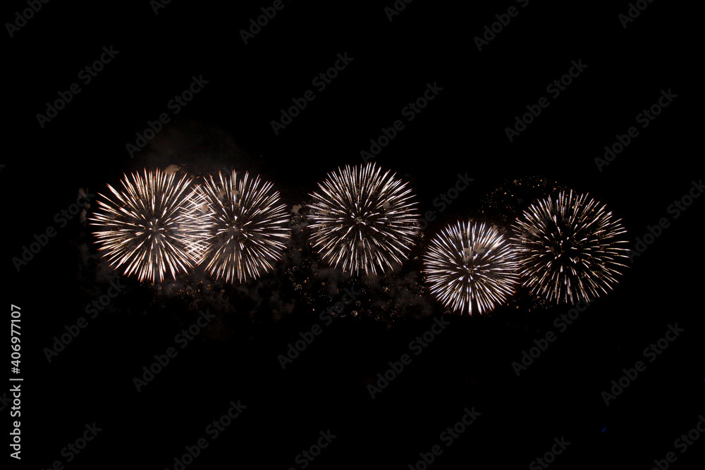 Fireworks blooming on the night sky 