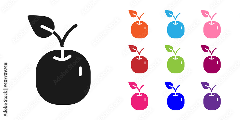 黑色苹果图标隔离在白色背景上。带叶子符号的水果。将图标设置为彩色。矢量。
