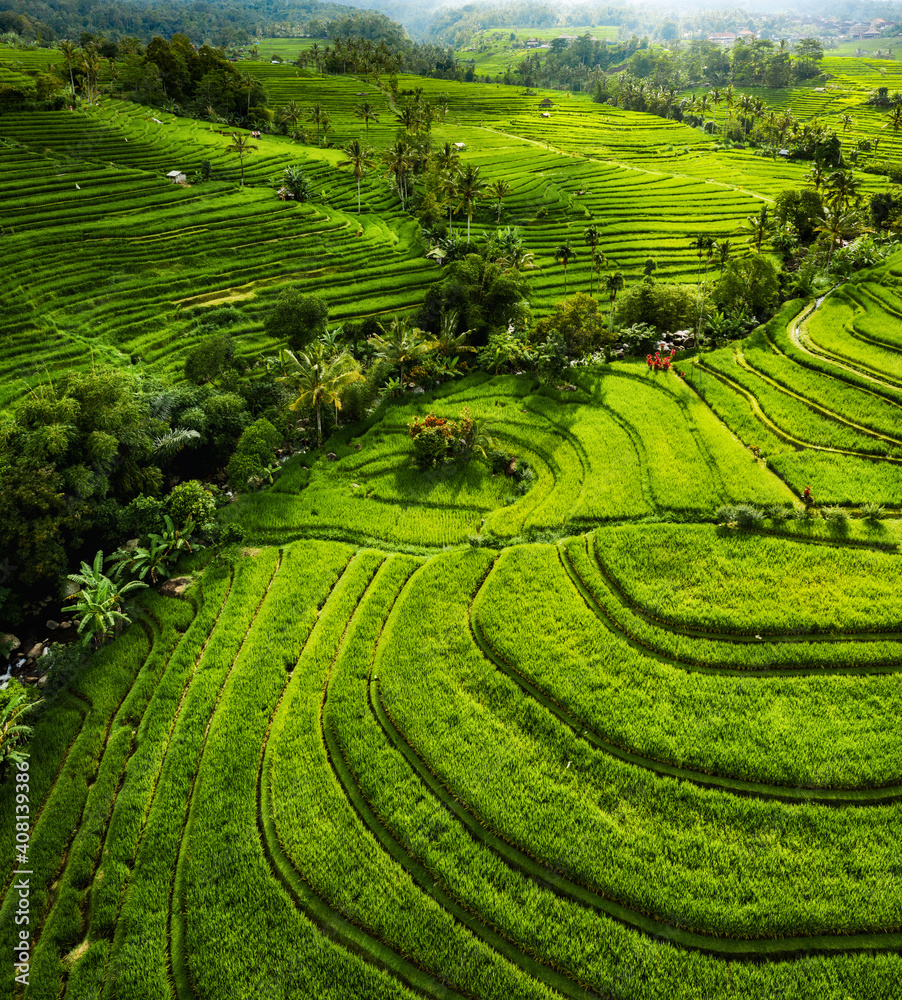 Aerial view of rice terraces. Landscape with drone. Agricultural landscape from the air. Rice terrac