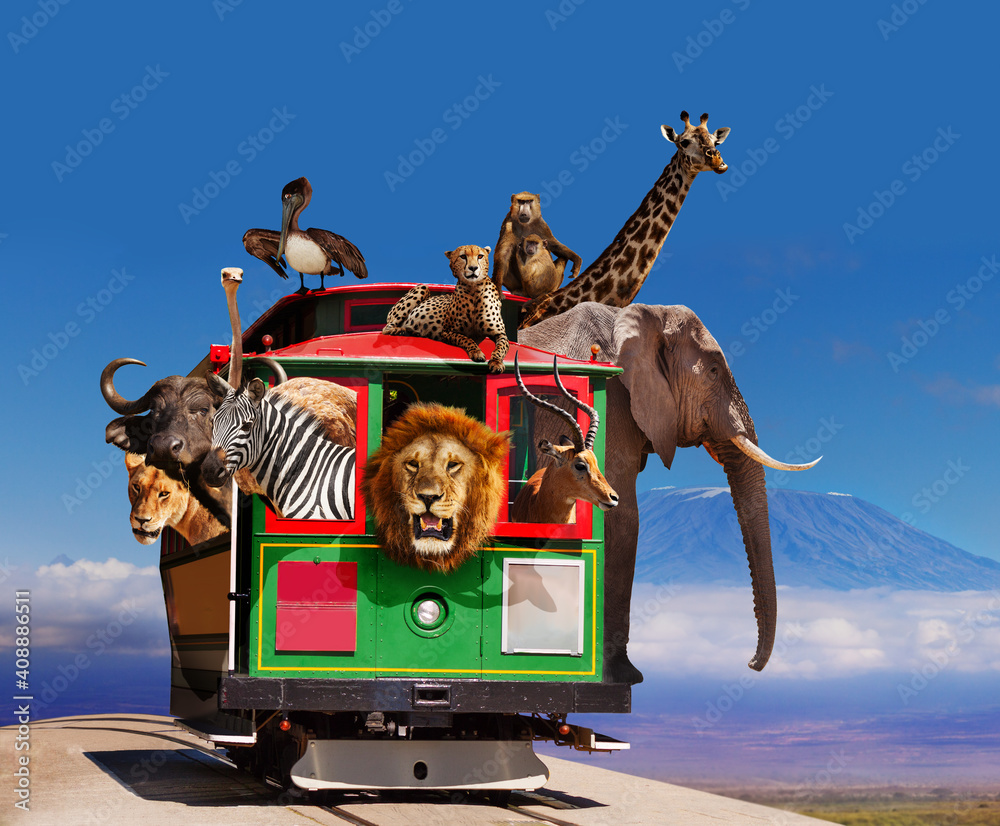 电车概念中的动物园，动物从窗户向外看，非洲上空的大象、长颈鹿、猎豹