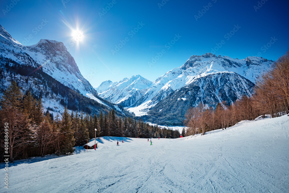 阳光明媚的法国阿尔卑斯山脉山峰和冷杉林中的滑雪道