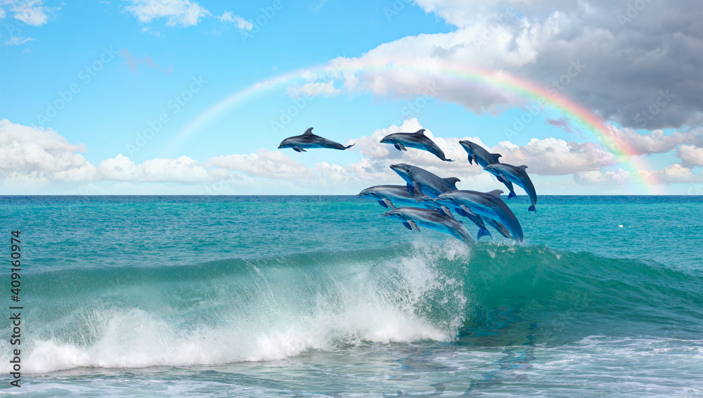 一群海豚在水上跳跃——背景是彩虹——美丽的海景和蓝天