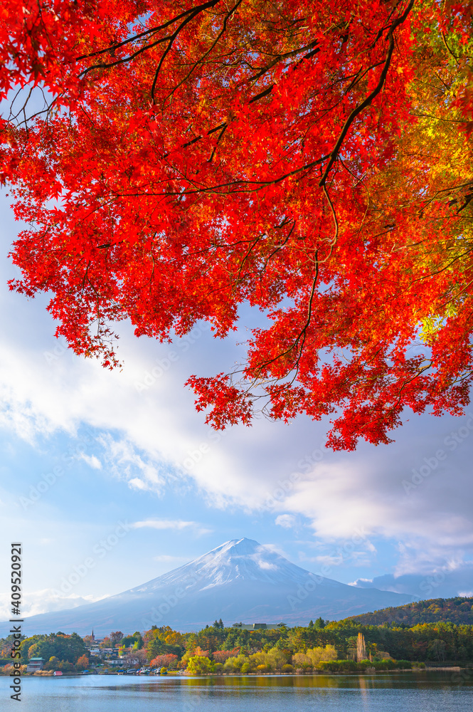 Beautiful Autumn scene maple tree and Mount Fuji at lake kawaguchiko in morning in Yamanashi, Japan