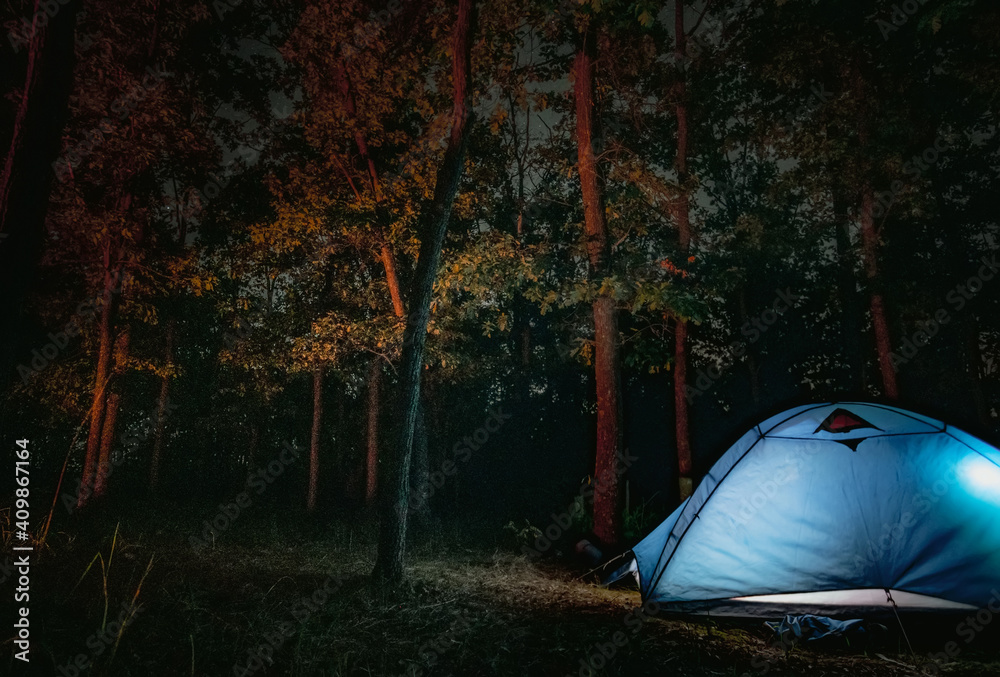 独自的帐篷在树林中过夜
