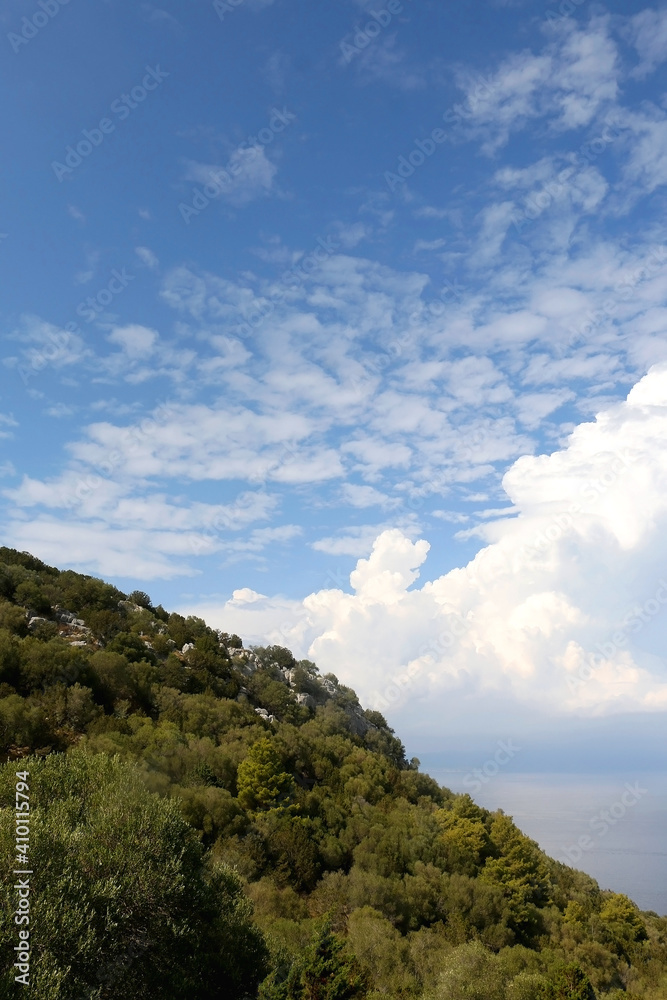 橄榄树和松树，大海和云彩。克罗地亚拉斯托沃岛上美丽的地中海景观。