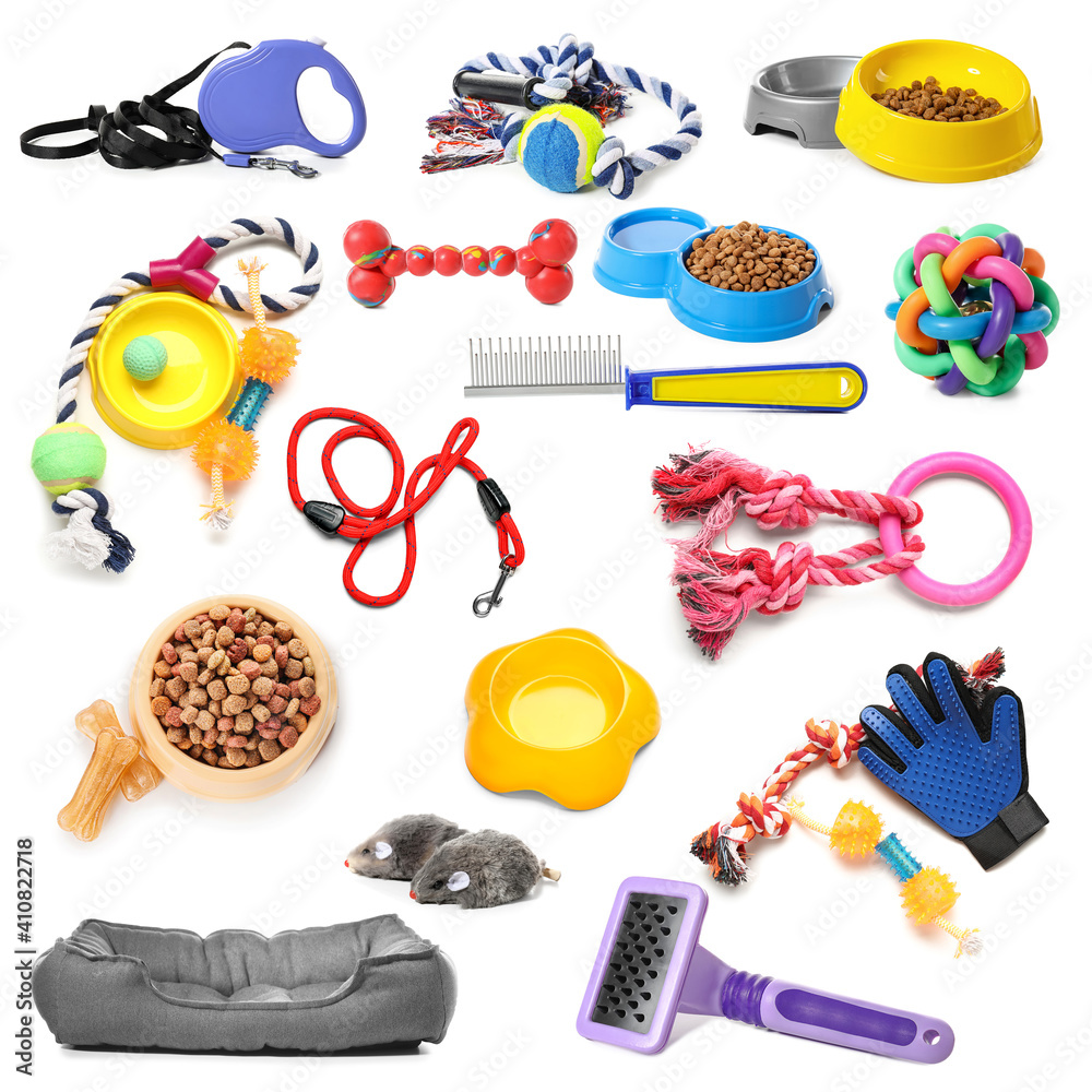 Collage of different pet accessories on white background