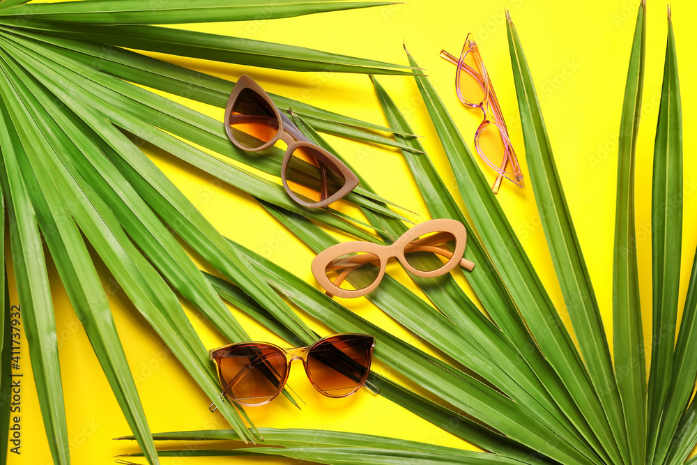 彩色背景上的时尚太阳镜和热带树叶
