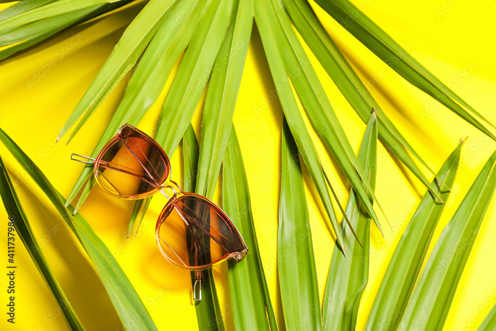 时尚太阳镜和彩色背景的热带树叶