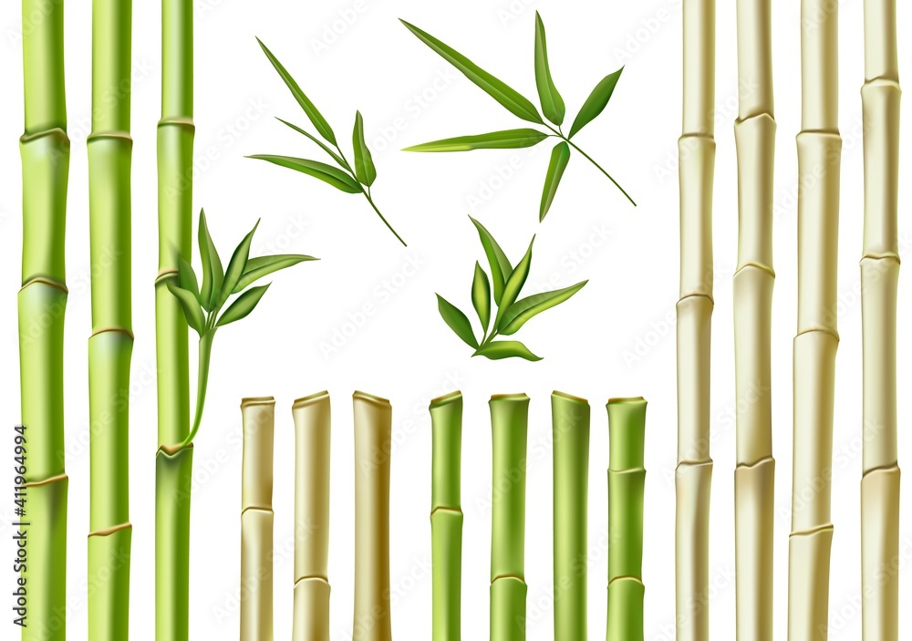 逼真的竹签。3d绿色和棕色的树枝、茎和叶。天然植物空心手杖
