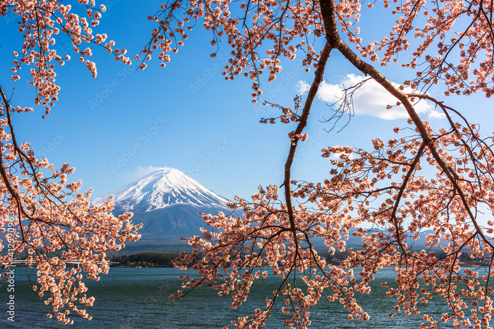 富士山，日本川口湖畔
