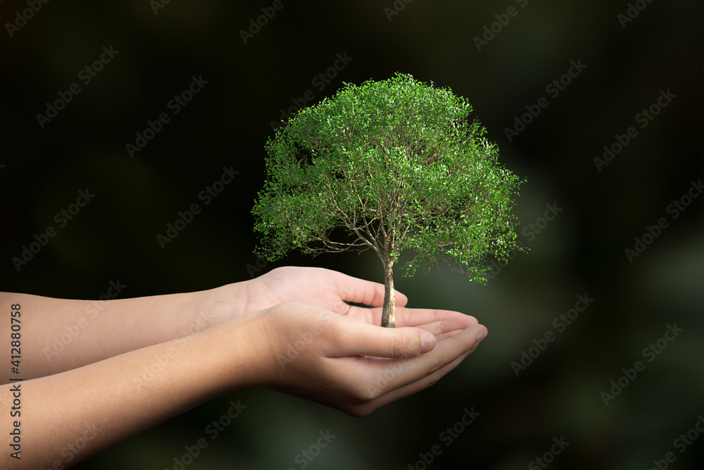 Big tree growing in human hand on blur background, Earth day concept