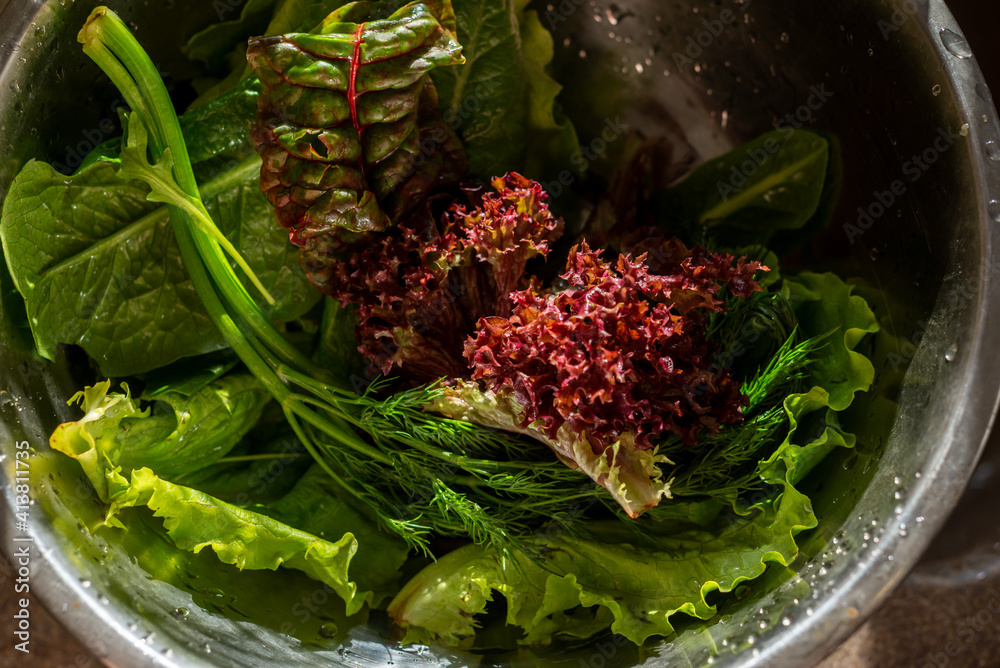 厨房钢碗里的新鲜蔬菜。健康生活方式、健康食品、家庭的概念