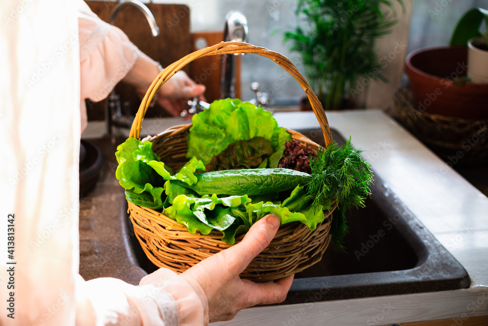 在厨房里洗蔬菜。家庭主妇用手在水中清洗绿色沙拉。清洗新鲜蔬菜