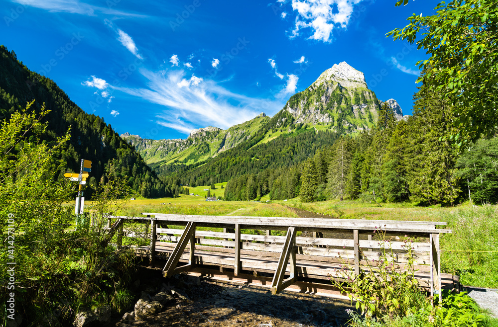 瑞士阿尔卑斯山奥伯西山谷苏兹贝克溪和布伦内利斯托克山上的桥梁