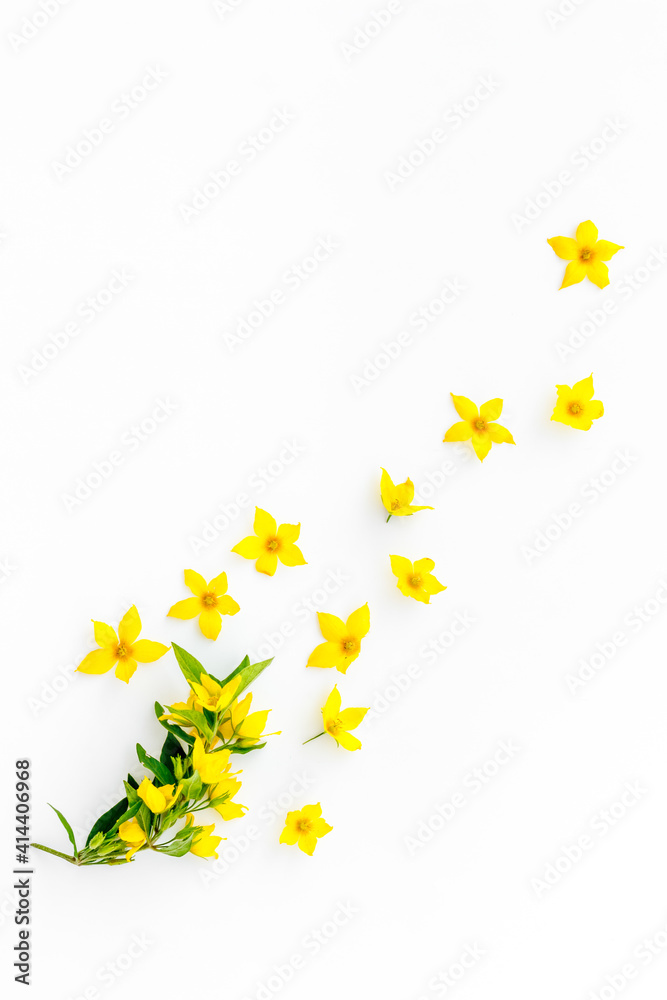 黄色花朵背景，带叶子，俯视图