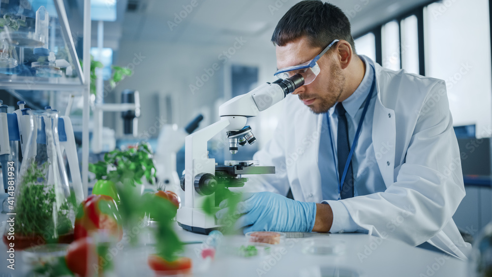 男性微生物学家在显微镜下观察实验室培养的素食肉类样本。医学科学