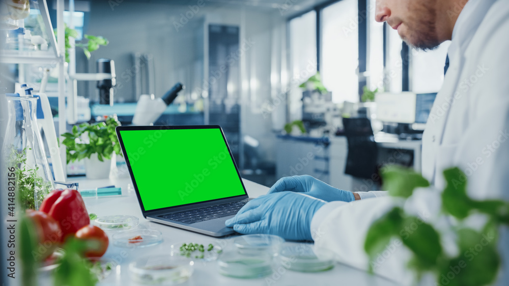男科学家在一台带有绿屏实体显示器的笔记本电脑上工作。微生物学家正在摩擦