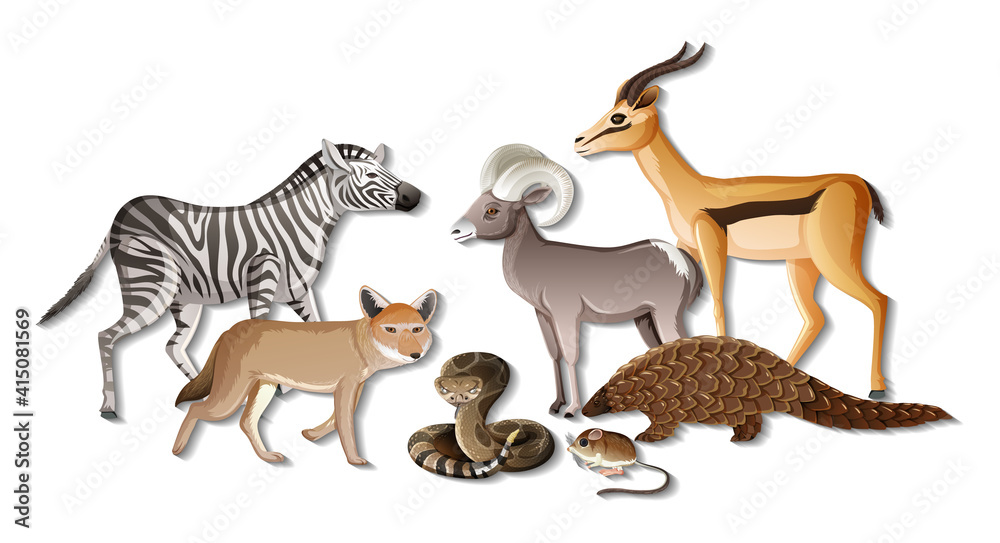 白底非洲野生动物群