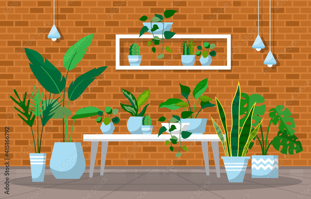 热带室内植物绿色装饰植物室内房屋插图