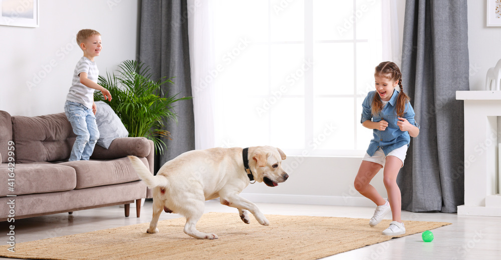 Kids with dog playing at home