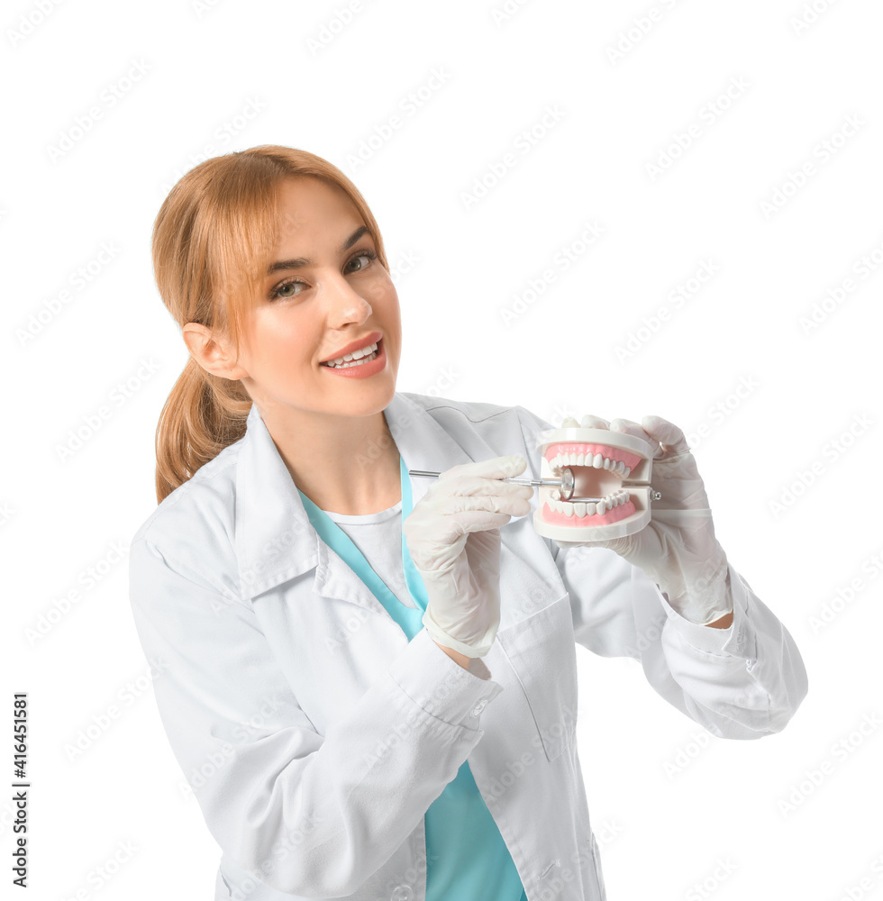 Female dentist with plastic jaw model on white background