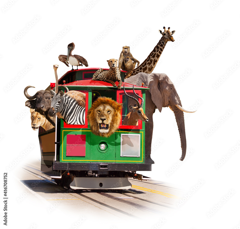Zoo in the tram concept with animals looking out of the windows, Elephant giraffe cheetah and others