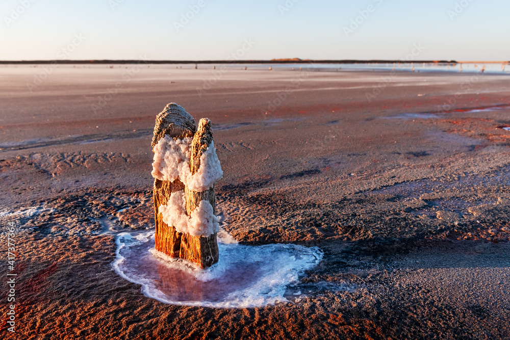 Tranquil landscape with dry surface of the pink salt lake with wooden post and salt crystals. Simple