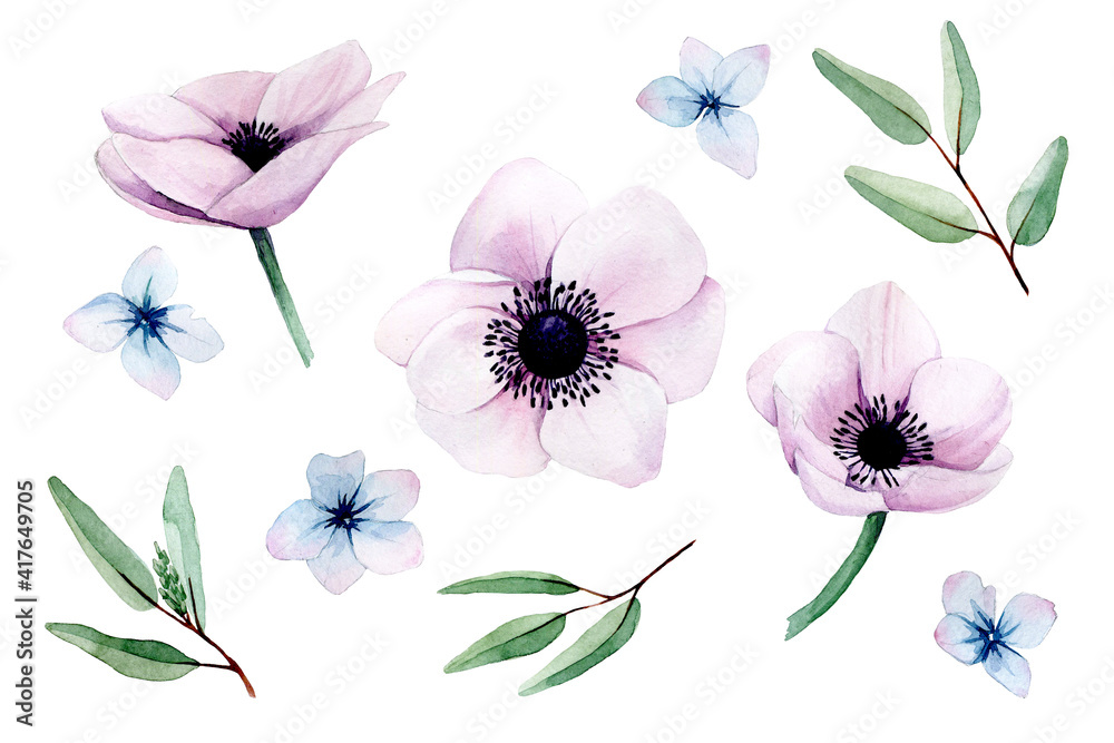 水彩套装，粉色海葵花、桉树叶和蓝色绣球花系列