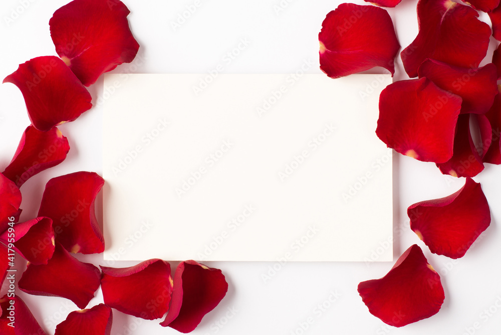 照片上方的玫瑰花空空白纸和白色背景上隔离的花瓣