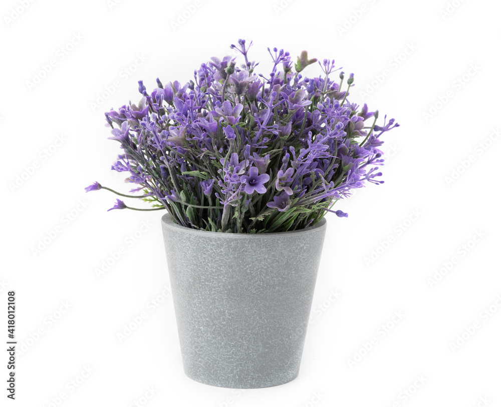 装饰房间的树。白色隔离的花盆和紫色花朵假植物
