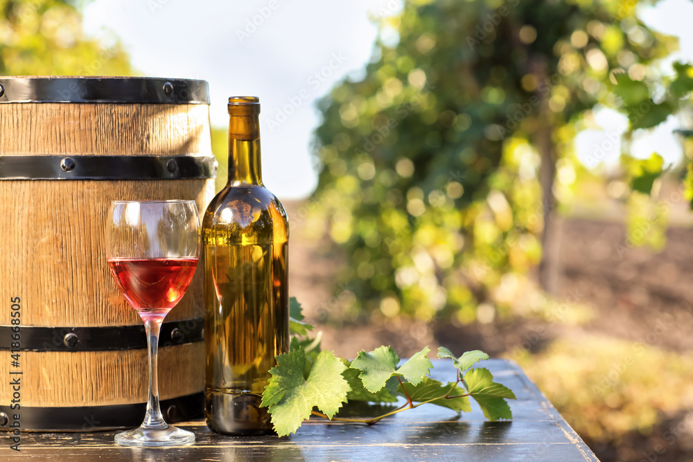 葡萄园餐桌上的一桶、一瓶和一杯葡萄酒