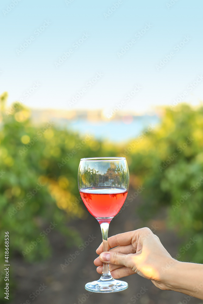 葡萄园里一杯美味葡萄酒的女性手