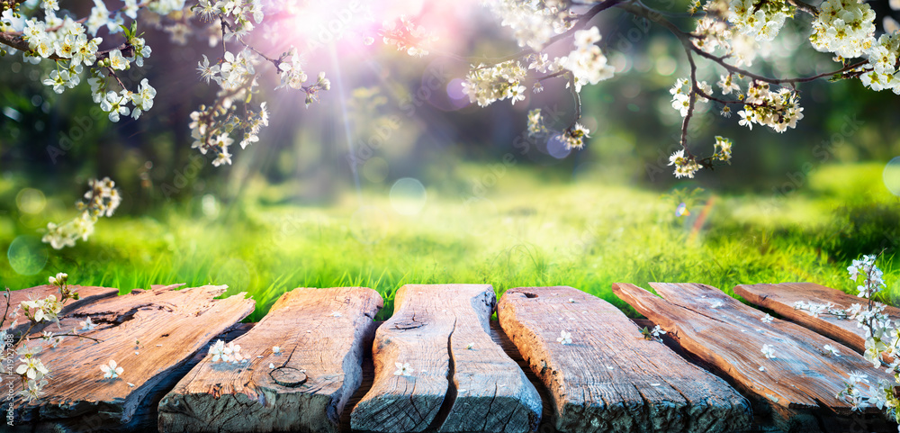 春日餐桌，树木盛开，背景是散焦的阳光花园