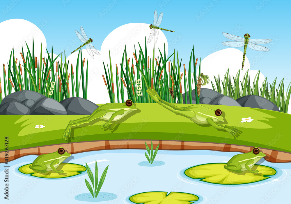 池塘里有很多绿色的青蛙和蜻蜓