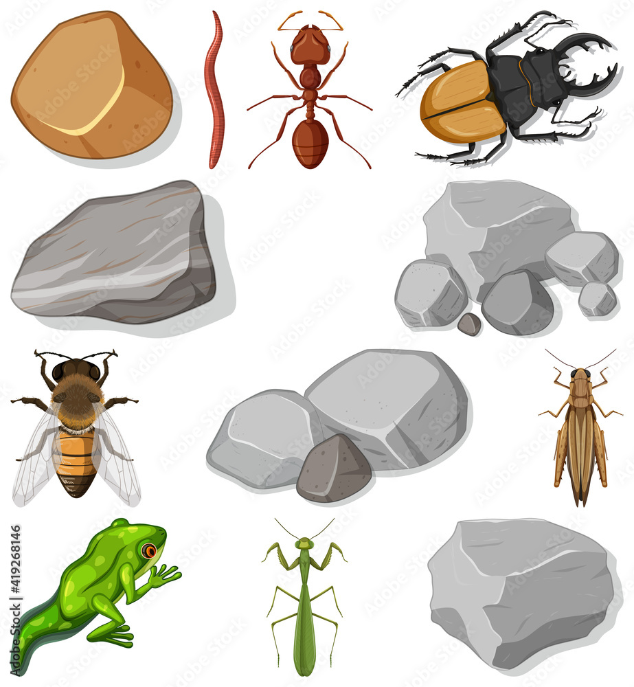 具有自然元素的不同类型昆虫