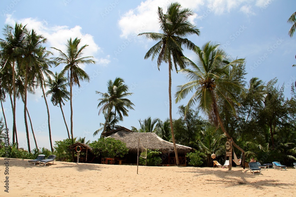 东南亚斯里兰卡南部海滩